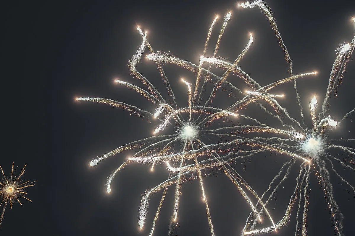 Colourful fireworks display in the night sky